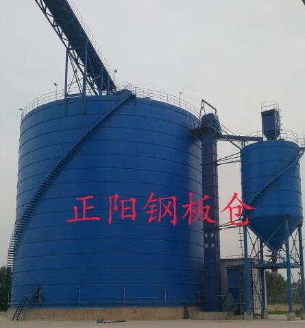 弥渡大型矿粉钢板库